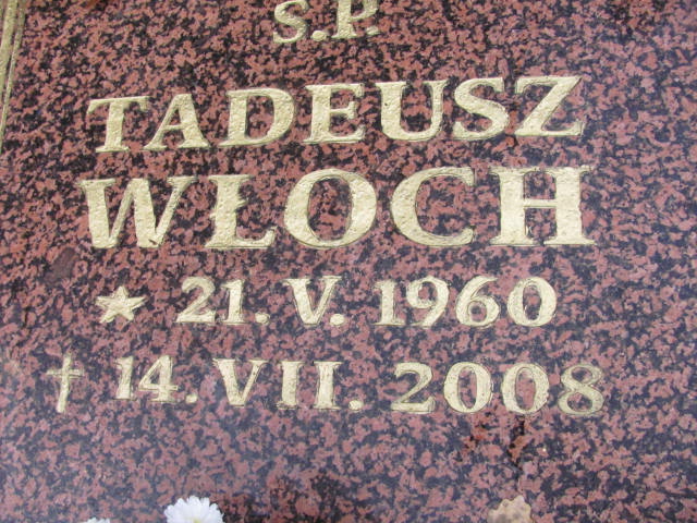  Włoch 1960 Witnica - Grobonet - Wyszukiwarka osób pochowanych