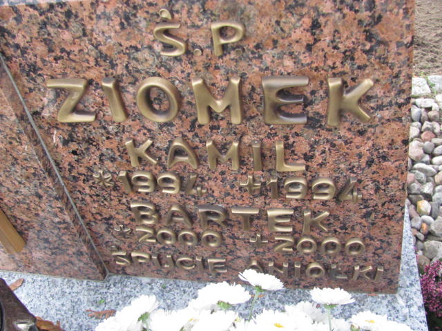 Kamil Ziomek 1994 Witnica - Grobonet - Wyszukiwarka osób pochowanych