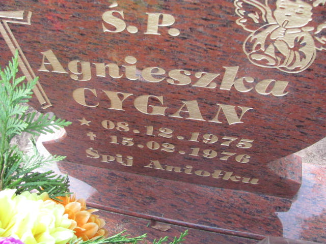 Agnieszka Cygan 1975 Witnica - Grobonet - Wyszukiwarka osób pochowanych