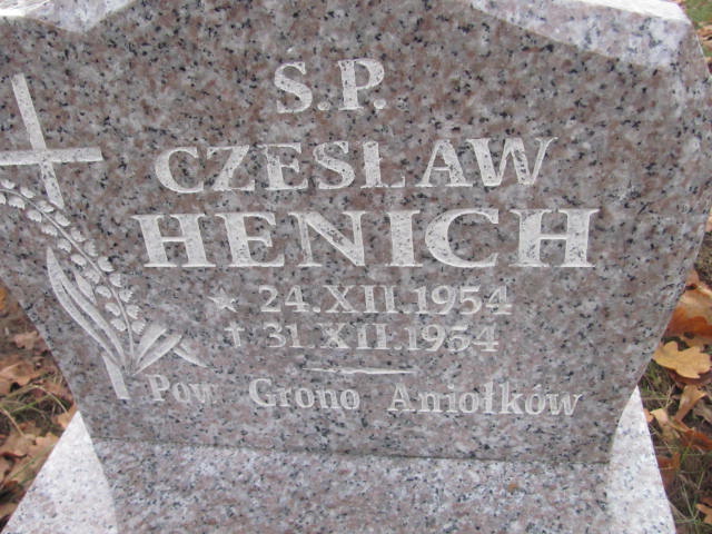 Czesław Henich 1954 Witnica - Grobonet - Wyszukiwarka osób pochowanych