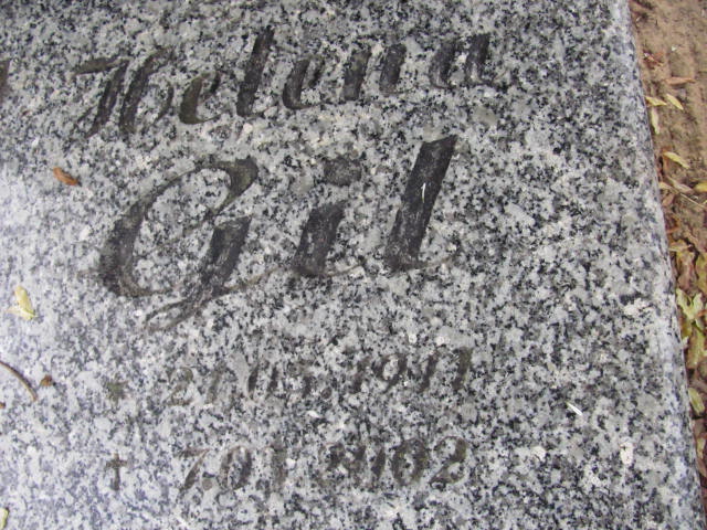 Helena Gil 1911 Witnica - Grobonet - Wyszukiwarka osób pochowanych