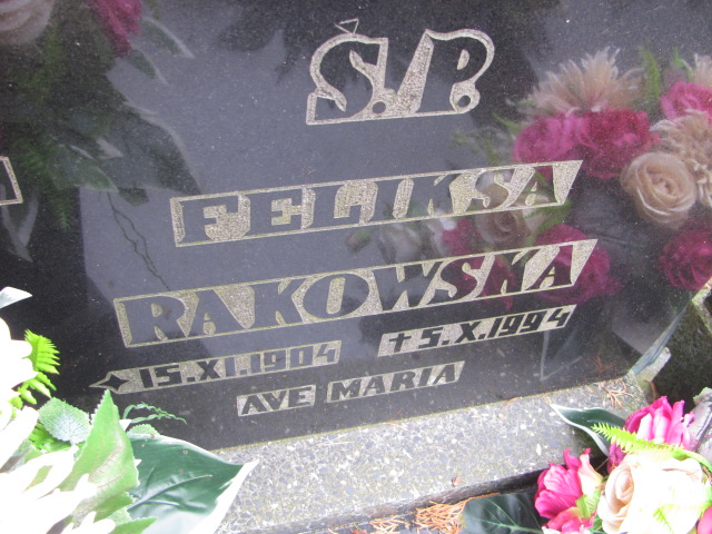 Dominik Rakowski 1905 Witnica - Grobonet - Wyszukiwarka osób pochowanych