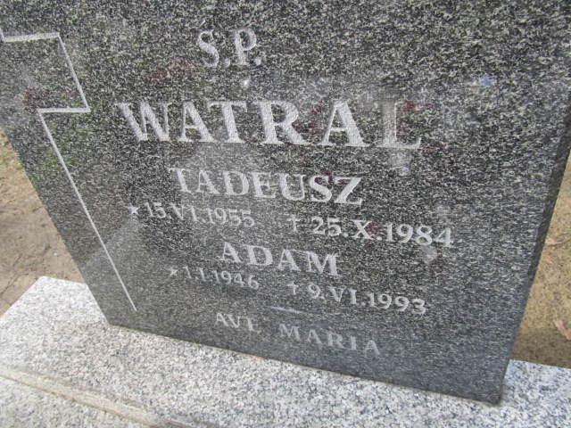 Tadeusz Watral 1955 Witnica - Grobonet - Wyszukiwarka osób pochowanych